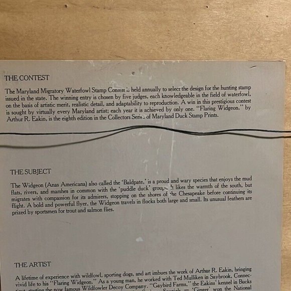 Maryland Migratory Duck Stamp Print "FLARING WIDGEON" Arthur Eakin 1981 #344 - Picture 8 of 10